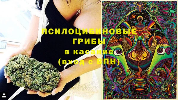 ECSTASY Горнозаводск