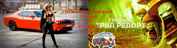 ECSTASY Горнозаводск