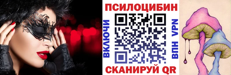 блэк спрут онион  Дрезна  Псилоцибиновые грибы Psilocybe  купить  